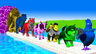 Paint & Animals Tiger, Dinosaur, Lion, Cow, Mammoth Fountain Crossing Transformation Animal Cartoon