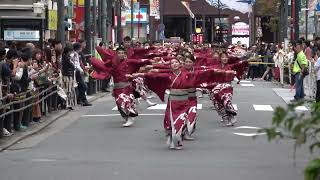 東京よさこい2023 ～ 藍なり （みずき通り）