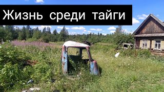 АУЖД | Заброшенная деревня  Берёзовка