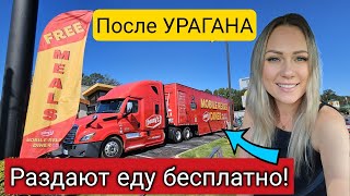 США/Грузовик с бесплатной едой/Жизнь после урагана Helene/ЧТО НАМ ДАЛИ/Южная Каролина/Лиса в Америке