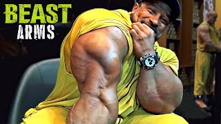 BEAST ARMS - LET'S BUILD TRICEPS AND BICEPS - ROELLY WINKLAAR MOTIVATION