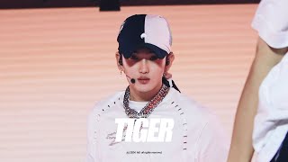 [4K] 240724 ENA 케이팝업 차트쇼 n.SSign(엔싸인) - Tiger 준혁 FOCUS (준혁직캠)