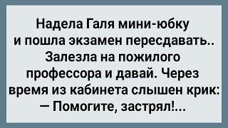 Как Галя Экзамен Пересдавала! Сборник Свежих Анекдотов! Юмор!