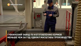 Губкинский завод по изготовлению кормов меньше чем за год удвоил масштабы производства