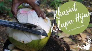 Khasiat Kelapa Hijau Buat Kesehatan