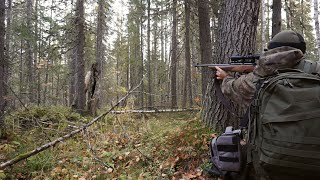 СКОЛЬКО РЯБЧИКОВ ОКОЛО ДЕРЕВНИ! / ОХОТА НА РЯБЧИКА С МЕЛКАШКОЙ / КАРАБИН 