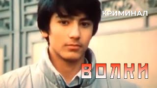 Волки (1986 год) криминальная драма