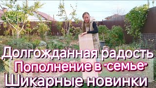 Шикарные новинки в сад! Долгожданная радость 🥰 Все как я люблю ❤️ Распаковка