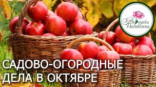 ШПАРГАЛКА САДОВО ОГОРОДНЫХ ДЕЛ НА ОКТЯБРЬ