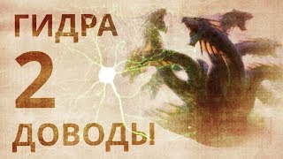 Гидpa 2. Лимфатическая система человека