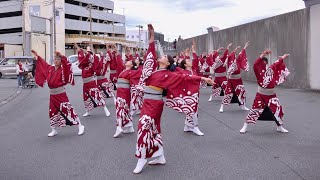 【4K】藍なり｜鳴動~あらたな時~(よさこい東海道沼津祭り2023/イーノ演舞場)