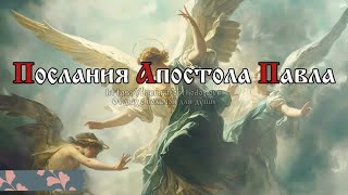 Смерть! где твое жало? ад где твоя победа? Жало же смерти - грех; а сила греха - закон