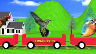 Bird Train Easy Learning for Kids | HD Animation