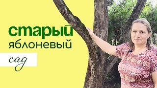 Старый ЯБЛОНЕВЫЙ САД. Как СОХРАНИТЬ деревья. Восстановление, обрезка