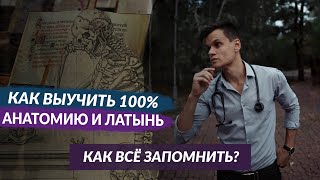 КАК ВЫУЧИТЬ 100% АНАТОМИЮ И ЛАТЫНЬ!!! КАК ВСЁ ЗАПОМИНАТЬ В МЕДИЦИНСКОМ