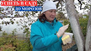 УСПЕТЬ ДО МОРОЗОВ В САДУ - 5 ДЕЛ, КОТОРЫЕ НЕЛЬЗЯ ОТЛОЖИТЬ ДО ВЕСНЫ