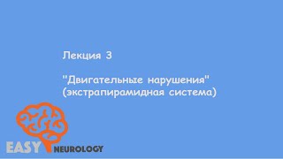 Общая неврология. Лекция 3 