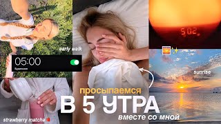 встаем В 5 УТРА вместе со мной | время для себя, ранняя прогулка и продуктивность