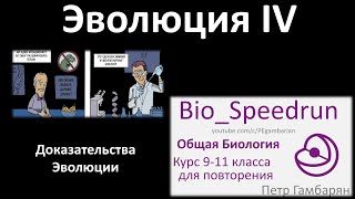 23. Эволюция часть IV (Speedrun общая биология 9-11 класс, ЕГЭ, ОГЭ 2022)