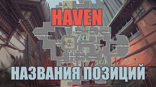 Хэвэн Позиции | Названия позиций на Haven (для микса, команды)