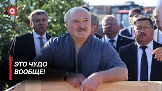 Лукашенко: Я такого не видел ещё! Как Президент оценил работу хозяйства под Молодечно?