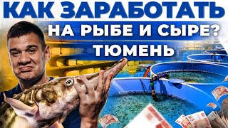 Как зарабатывают фермеры в Сибири? Сыроварня и рыбный бизнес в селе | Андрей Даниленко в Тюмени