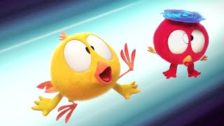 Best Buddies | Where's Chicky? | Cartoon Collection in English for Kids | New episodes HD