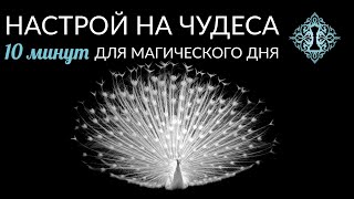 НАСТРОЙ НА ЧУДЕСА. Утренний ритуал от Ады Кондэ. #АдаКондэНастрой